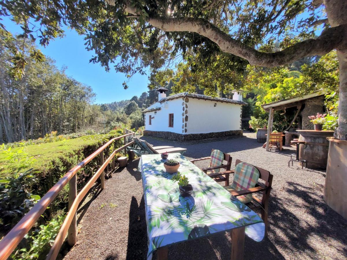 Finca Llano De La Cebolla อิคอดเดลอสวินอส ภายนอก รูปภาพ