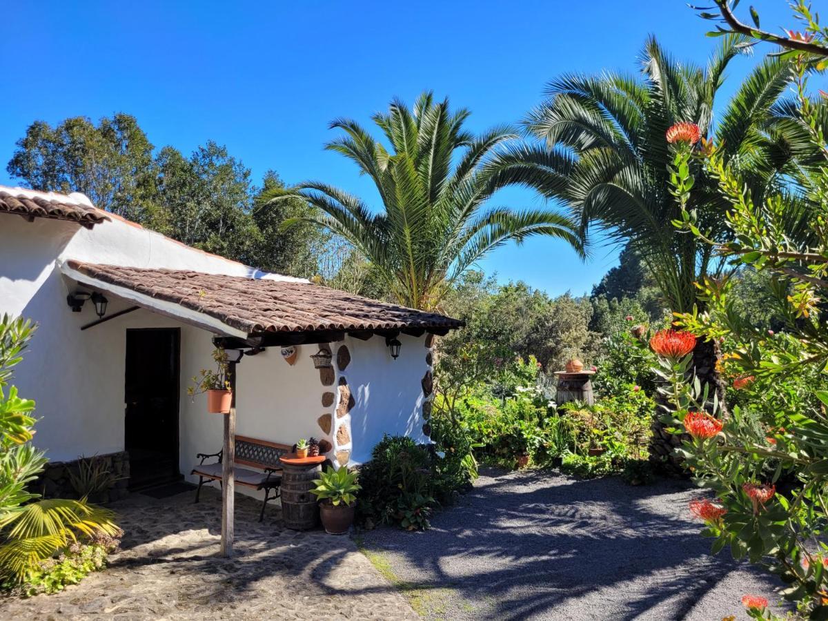 Finca Llano De La Cebolla อิคอดเดลอสวินอส ภายนอก รูปภาพ