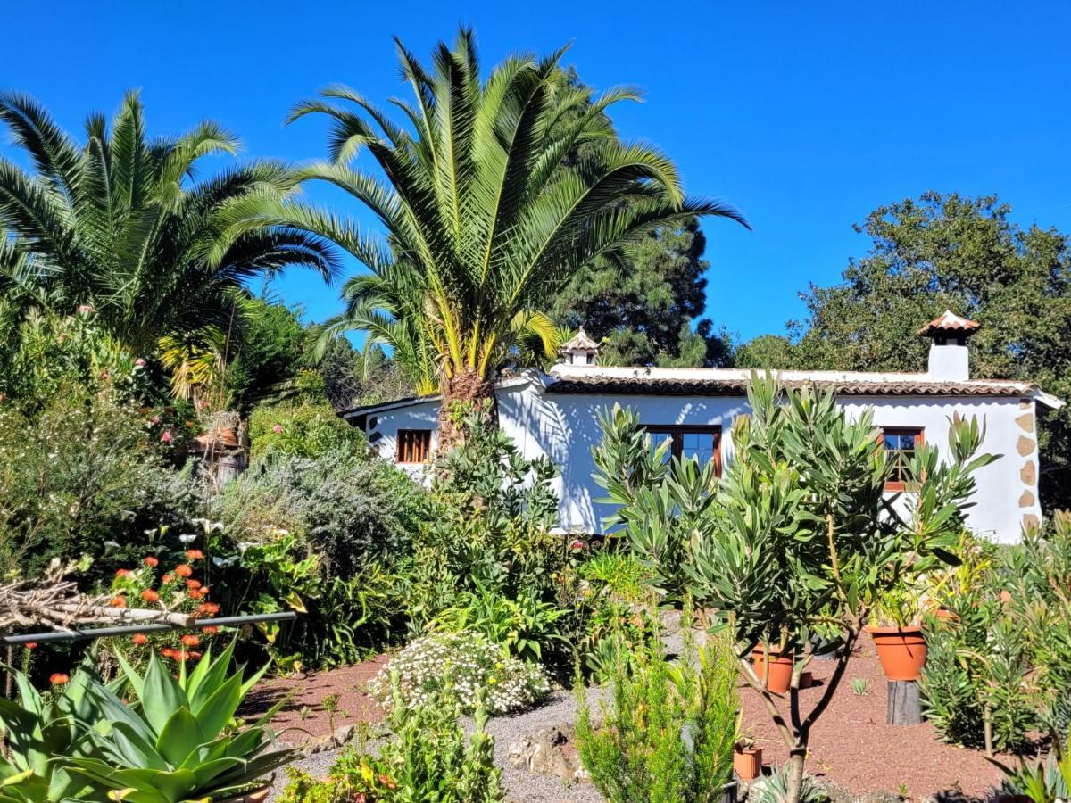 Finca Llano De La Cebolla อิคอดเดลอสวินอส ภายนอก รูปภาพ