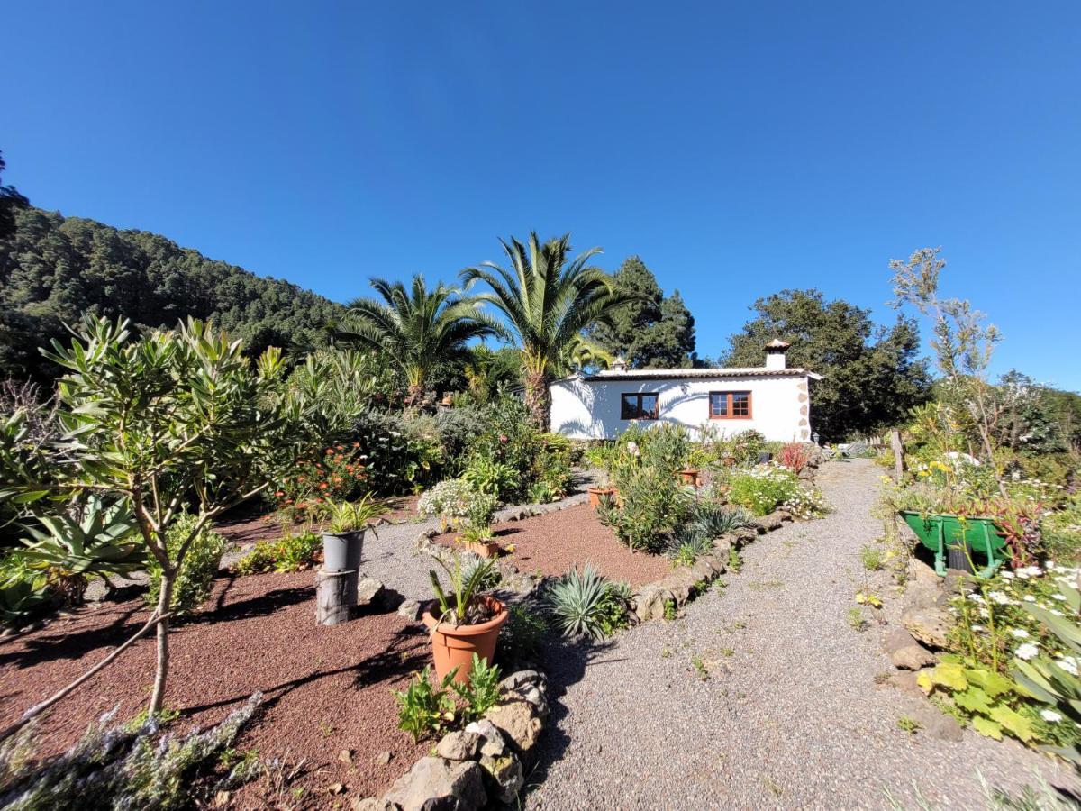 Finca Llano De La Cebolla อิคอดเดลอสวินอส ภายนอก รูปภาพ