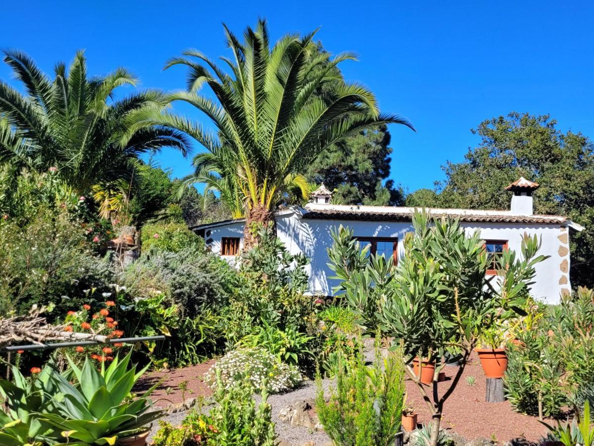 Finca Llano De La Cebolla อิคอดเดลอสวินอส ภายนอก รูปภาพ