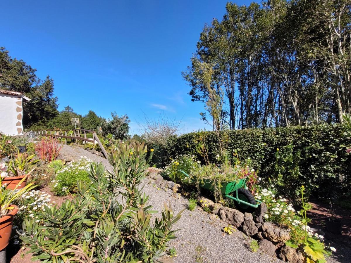 Finca Llano De La Cebolla อิคอดเดลอสวินอส ภายนอก รูปภาพ