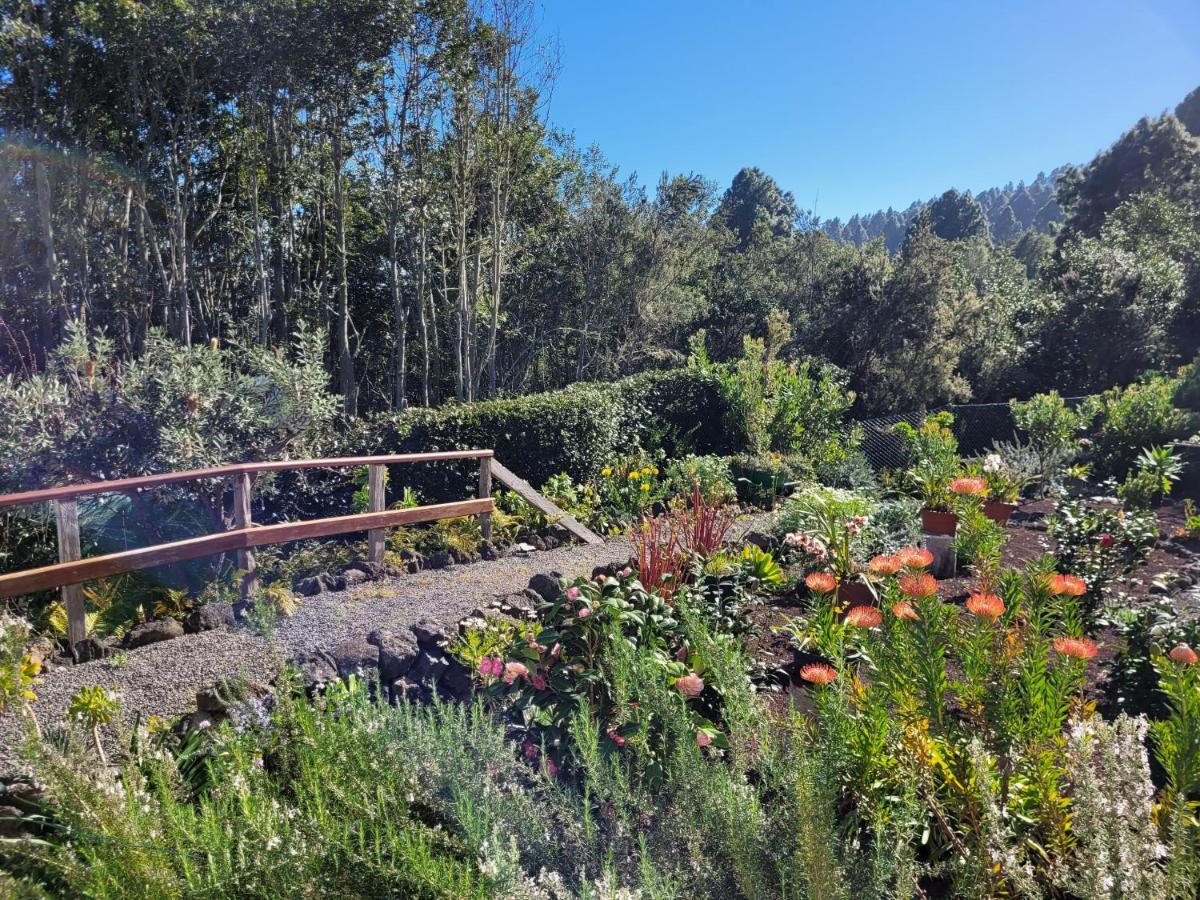 Finca Llano De La Cebolla อิคอดเดลอสวินอส ภายนอก รูปภาพ