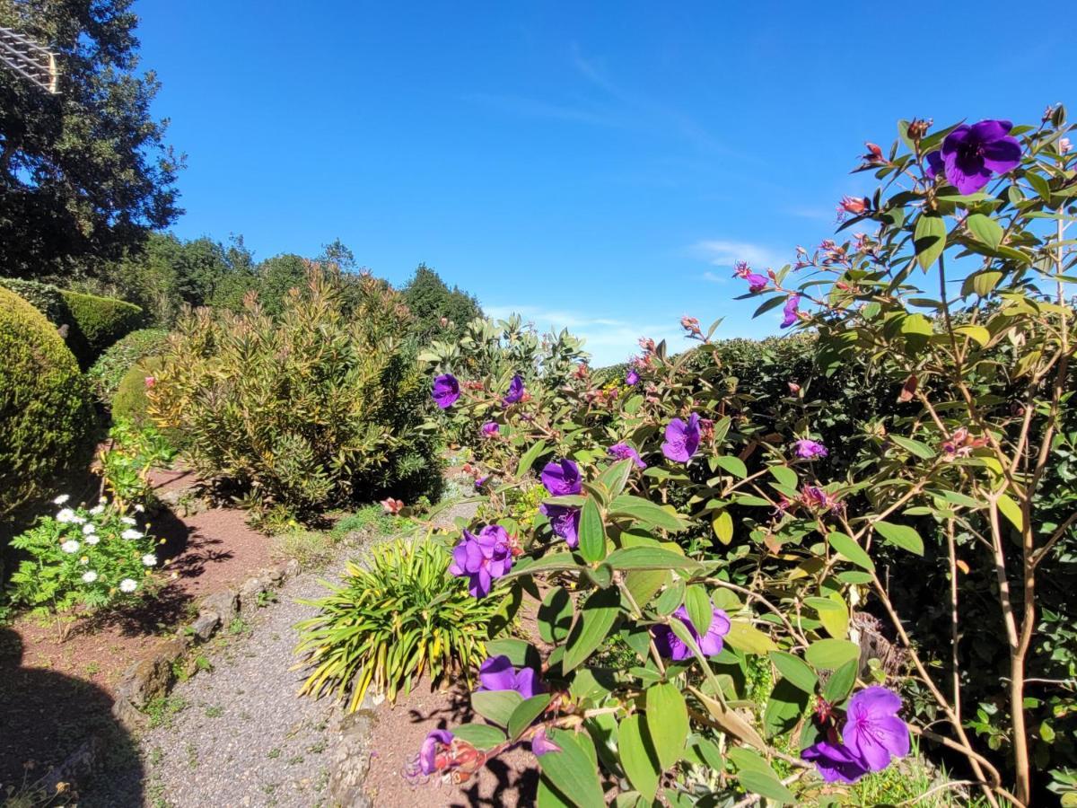 Finca Llano De La Cebolla อิคอดเดลอสวินอส ภายนอก รูปภาพ