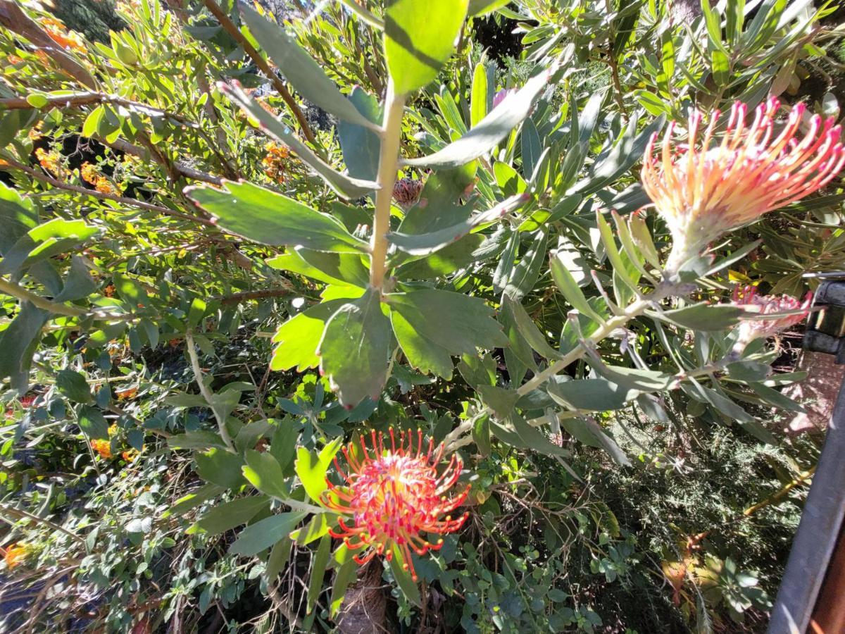 Finca Llano De La Cebolla อิคอดเดลอสวินอส ภายนอก รูปภาพ