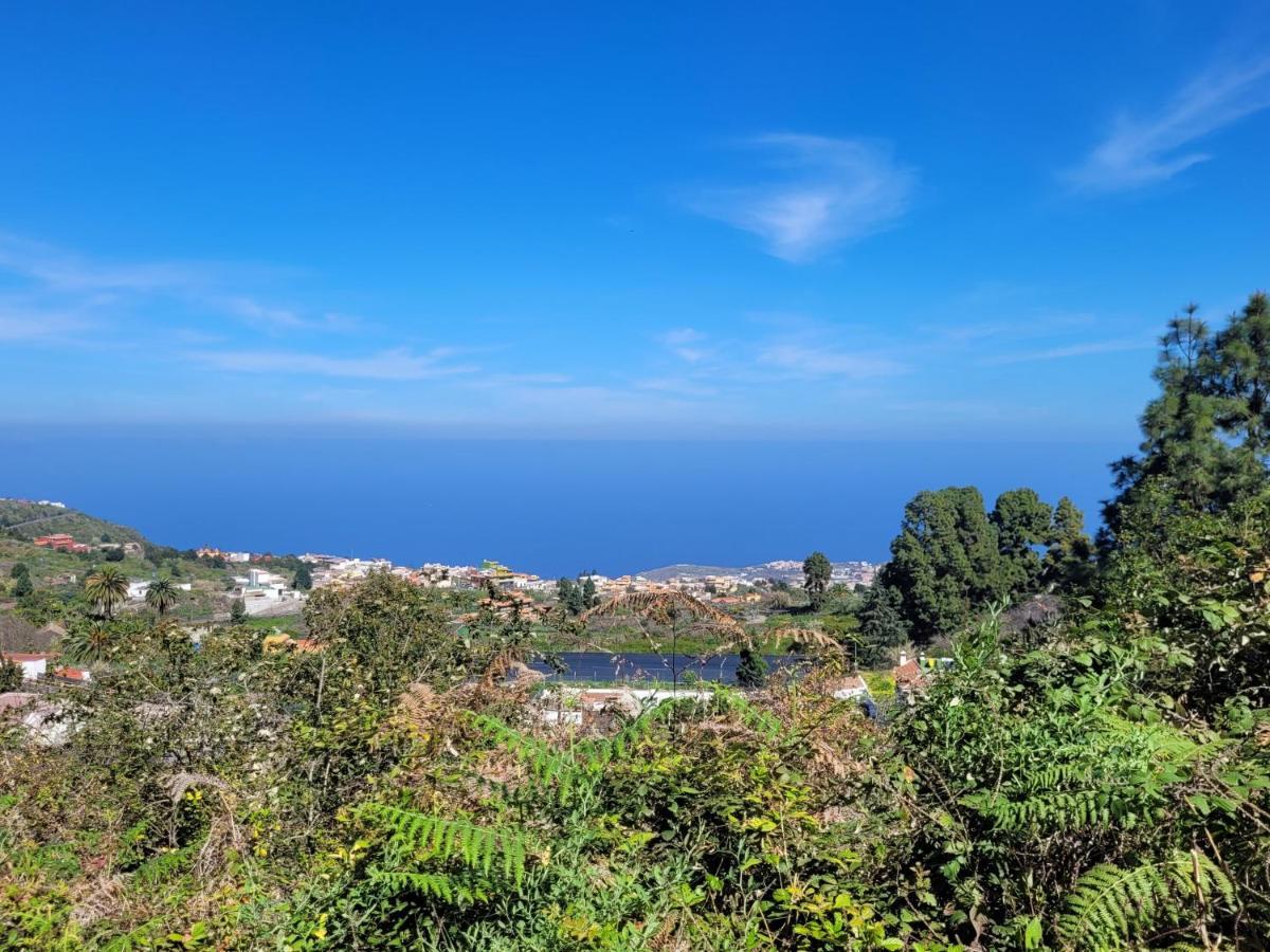 Finca Llano De La Cebolla อิคอดเดลอสวินอส ภายนอก รูปภาพ